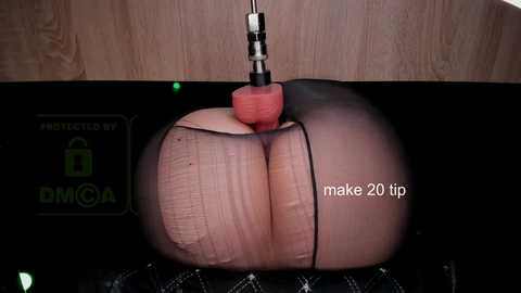 cameltoe_squirt_inpants @ stripchat on 20241206