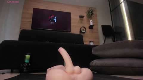 devil_minds @ stripchat on 20241206