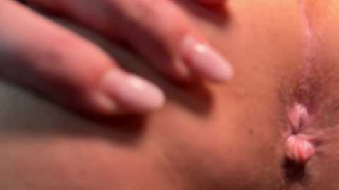 dirtypub @ stripchat on 20241207