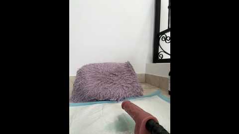 emiss_ @ stripchat on 20241207