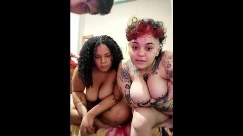 3femera