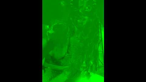 ahu_mask01 @ stripchat on 20241208