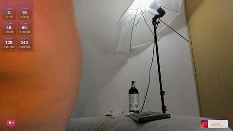 avis_12 @ stripchat on 20241208