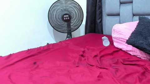 couple_gold69 @ stripchat on 20241208