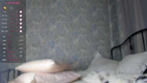 idajonesy @ stripchat on 20241208