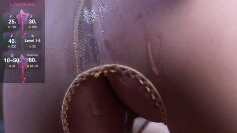 laybunny1 @ stripchat on 20241208