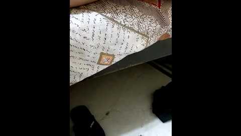 luv_swara @ stripchat on 20241208