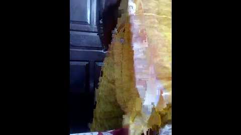dimple_24 @ stripchat on 20241210