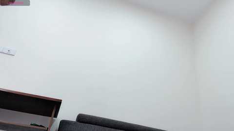 lyly_office @ stripchat on 20241211