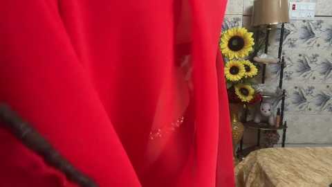 mahimagicdoll_desi @ stripchat on 20241211