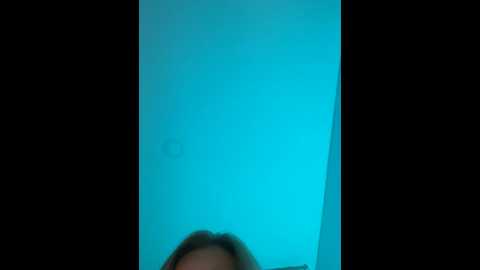 curchez_ @ stripchat on 20241212