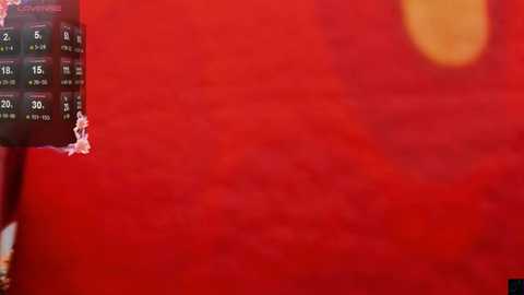 mei_honey_ @ stripchat on 20241213