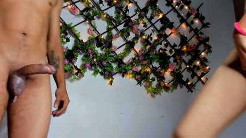 amazing_hardsex @ stripchat on 20241214
