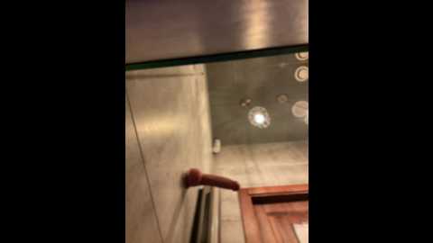 holly_molii @ stripchat on 20241214