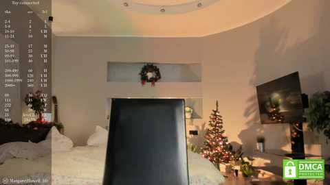 maryweberc @ stripchat on 20241214