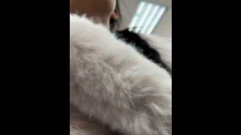 angelinateller @ stripchat on 20241215