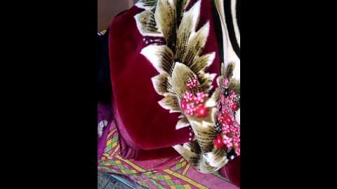 mumtaj_1 @ stripchat on 20241215