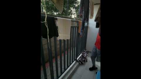 assiology__fuck_me_good1 @ stripchat on 20241216