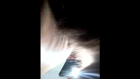 cutecouplle @ stripchat on 20241216