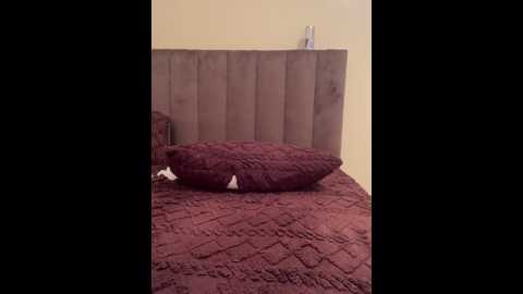 emy_sexy @ stripchat on 20241216