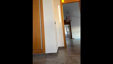 dorideluxe66 @ stripchat on 20241217