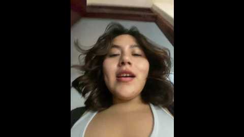 kittyfresita