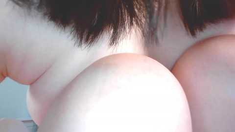 momo_rose