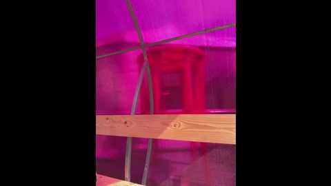 liza_risky @ stripchat on 20250606