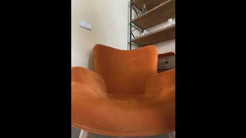 kate_rabittsex
