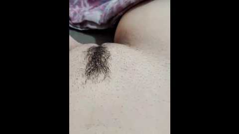 icee006 @ stripchat on 20250615