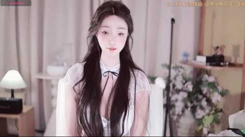 _aricia_
