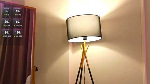 lilbbae @ stripchat on 20250617