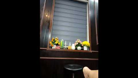 zizi_public @ stripchat on 20250624