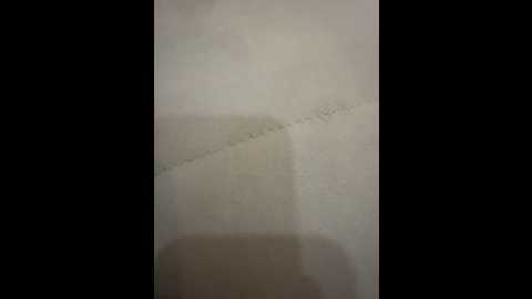 janhvi_ @ stripchat on 20250629