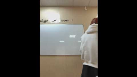 snappyhappy @ stripchat on 20250629