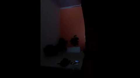 shalu_g @ stripchat on 20250713