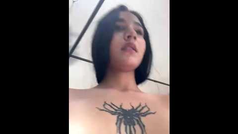 imroxyxxx @ stripchat on 20250714