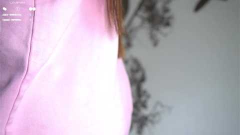 piquingogalala @ stripchat on 20250714