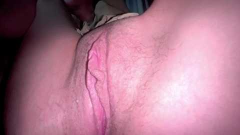 katie_charm @ stripchat on 20250715