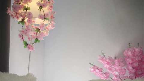 amilewis @ stripchat on 20250802