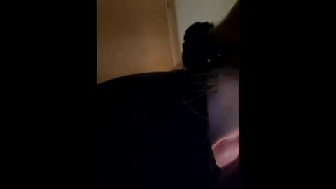 naughtycatgirl @ stripchat on 20250802