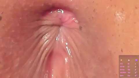 alu_ryu @ stripchat on 20250803