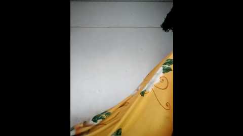 your_samayra @ stripchat on 20250807