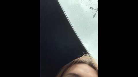 _angelari_