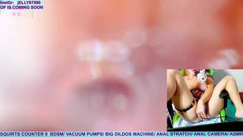 marybrook1 @ stripchat on 20250813