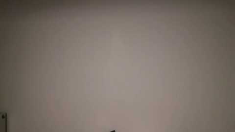 emilywi_ @ stripchat on 20250814