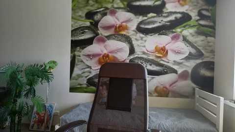 jenny__cutey @ stripchat on 20250817