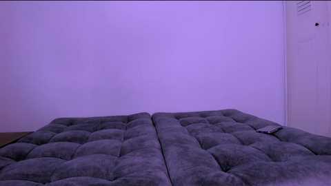 miiafoxxx @ stripchat on 20250817