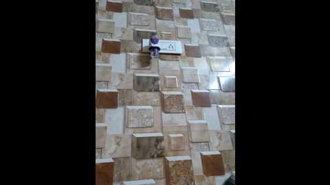 queen_aditi @ stripchat on 20250817