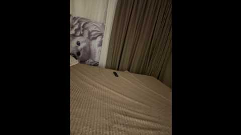 strong_gir @ stripchat on 20250817